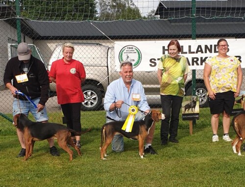 Utställning i Ullared 26-05-03