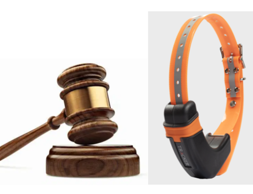 HSTK – Årsmöte samt utlottning av pejl – Söndagen 2026-04-19